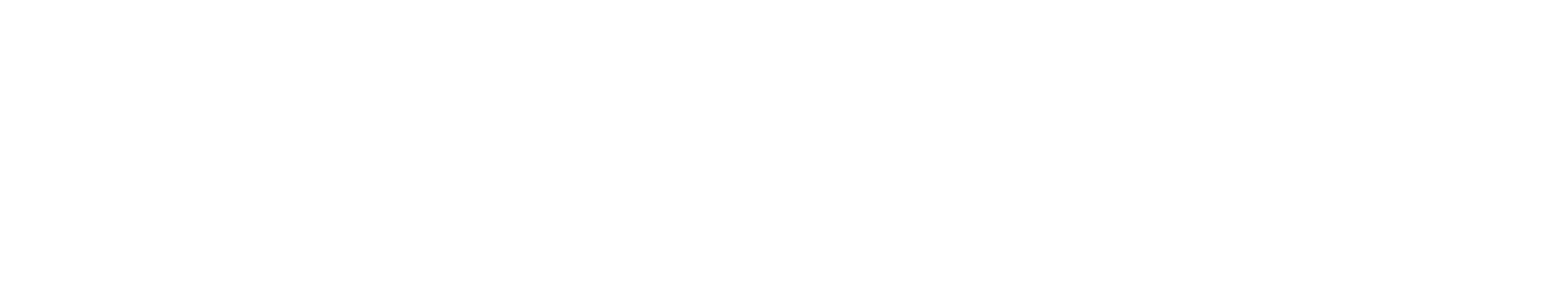 LEVEL